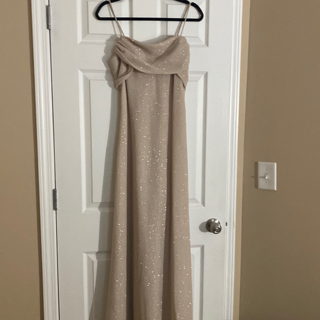Black Tie Champagne Glitter Tulle Gown